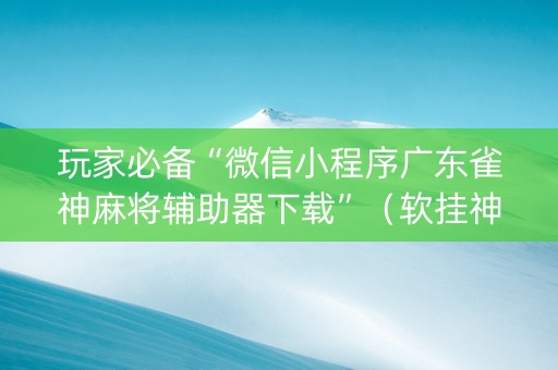 玩家必备“微信小程序广东雀神麻将辅助器下载”（软挂神器)