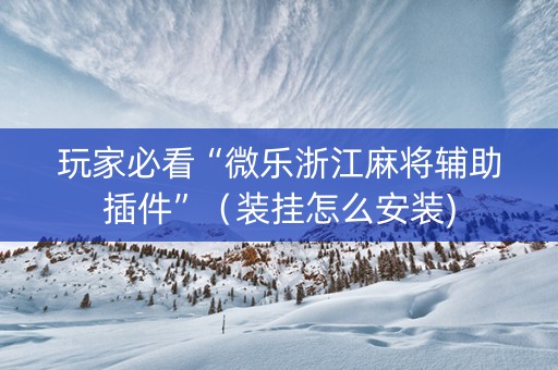 玩家必看“微乐浙江麻将辅助插件”（装挂怎么安装)