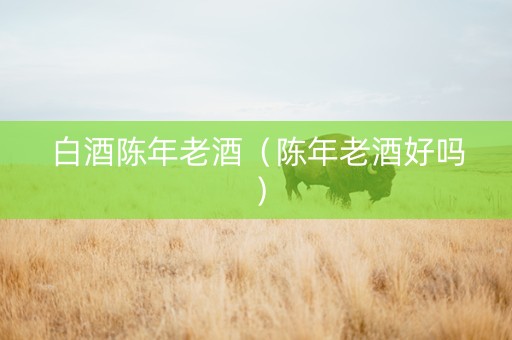白酒陈年老酒（陈年老酒好吗）