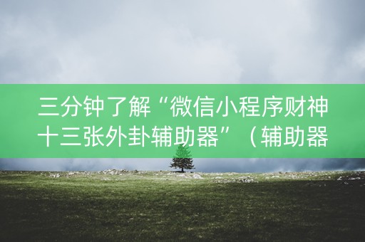三分钟了解“微信小程序财神十三张外卦辅助器”（辅助器插件)