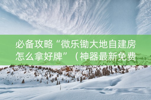 必备攻略“微乐锄大地自建房怎么拿好牌”（神器最新免费)