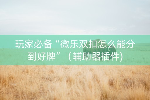 玩家必备“微乐双扣怎么能分到好牌”（辅助器插件)