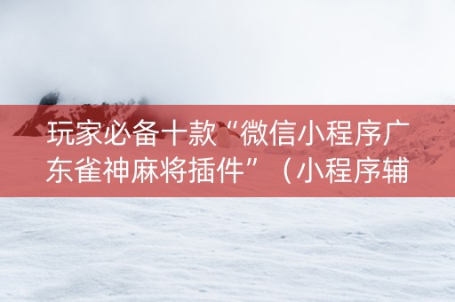 玩家必备十款“微信小程序广东雀神麻将插件”（小程序辅助软件)