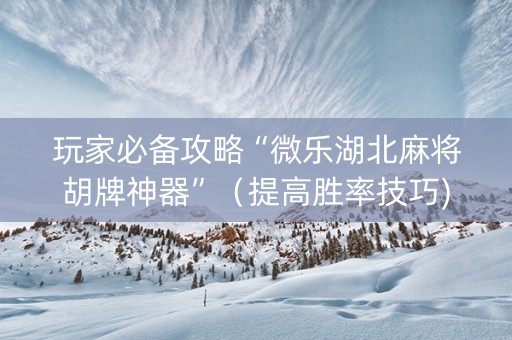 玩家必备攻略“微乐湖北麻将胡牌神器”（提高胜率技巧)