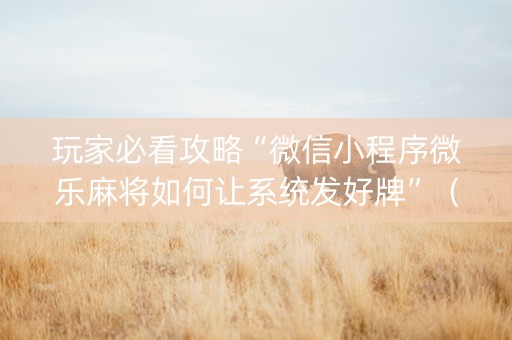 玩家必看攻略“微信小程序微乐麻将如何让系统发好牌”（助赢神器购买)