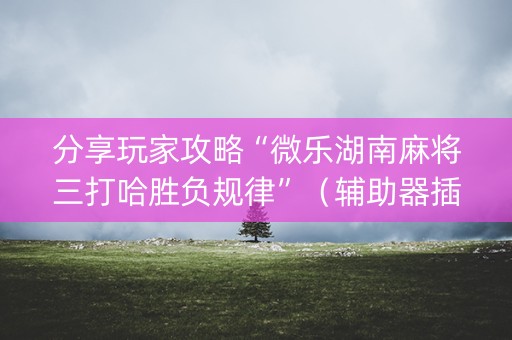 分享玩家攻略“微乐湖南麻将三打哈胜负规律”（辅助器插件)