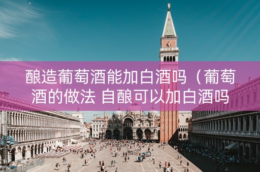 酿造葡萄酒能加白酒吗（葡萄酒的做法 自酿可以加白酒吗?）