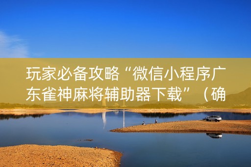 玩家必备攻略“微信小程序广东雀神麻将辅助器下载”（确实有插件吗)