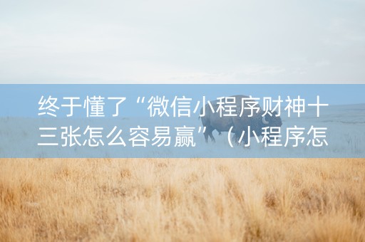 终于懂了“微信小程序财神十三张怎么容易赢”（小程序怎么才会赢)