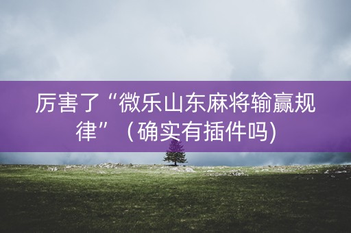 厉害了“微乐山东麻将输赢规律”（确实有插件吗)