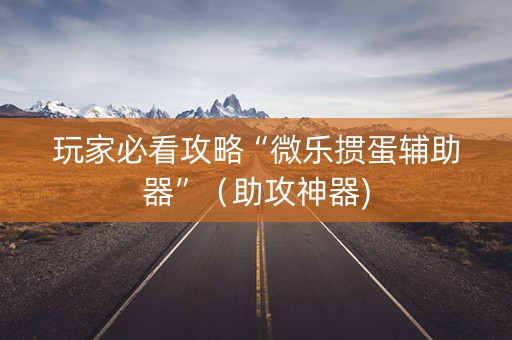 玩家必看攻略“微乐掼蛋辅助器”（助攻神器)