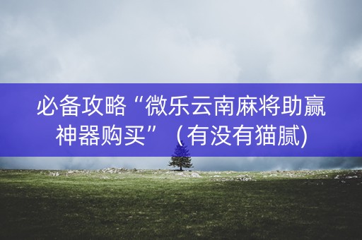 必备攻略“微乐云南麻将助赢神器购买”（有没有猫腻)