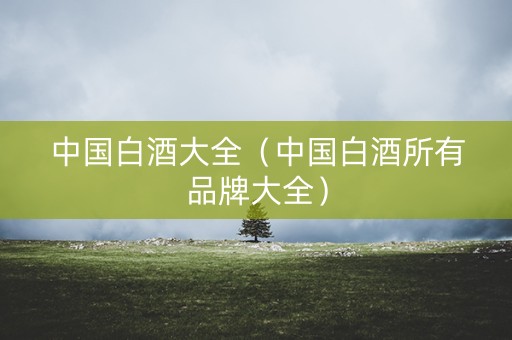 中国白酒大全（中国白酒所有品牌大全）