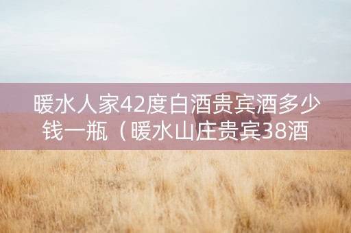 暖水人家42度白酒贵宾酒多少钱一瓶（暖水山庄贵宾38酒）