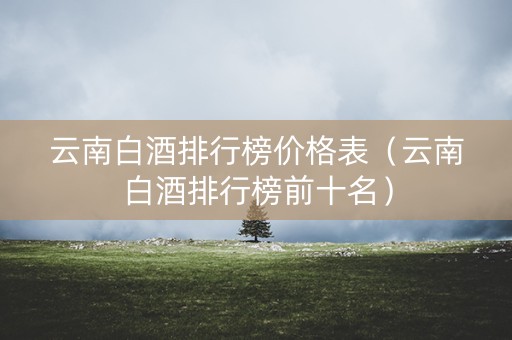 云南白酒排行榜价格表（云南白酒排行榜前十名）