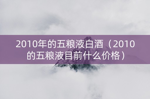 2010年的五粮液白酒（2010的五粮液目前什么价格）