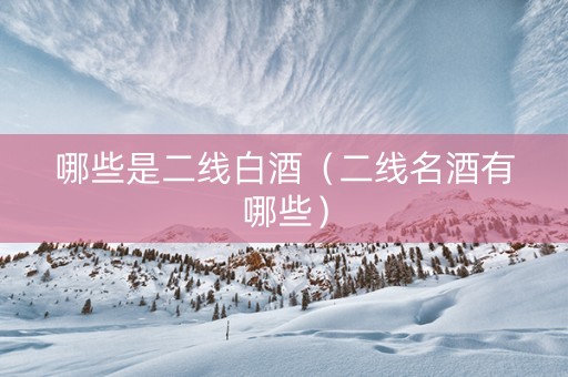 哪些是二线白酒（二线名酒有哪些）