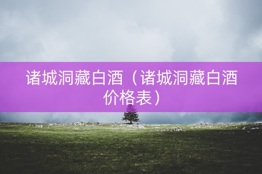 诸城洞藏白酒（诸城洞藏白酒价格表）