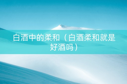 白酒中的柔和（白酒柔和就是好酒吗）