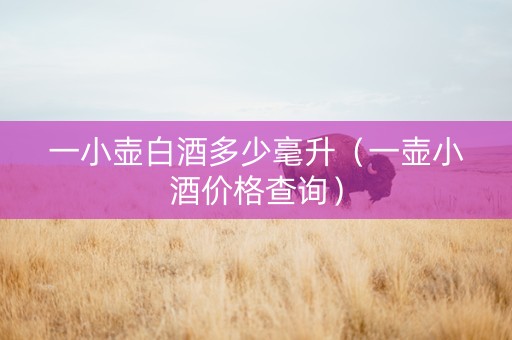 一小壶白酒多少毫升（一壶小酒价格查询）