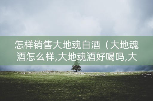 怎样销售大地魂白酒（大地魂酒怎么样,大地魂酒好喝吗,大地魂酒的特点）