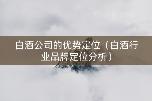 白酒公司的优势定位（白酒行业品牌定位分析）