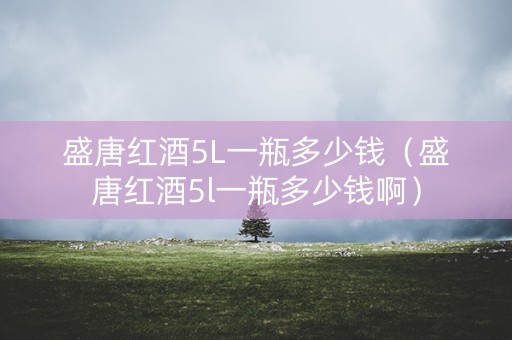 盛唐红酒5L一瓶多少钱（盛唐红酒5l一瓶多少钱啊）