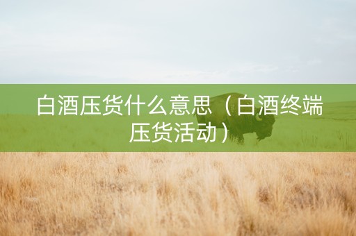 白酒压货什么意思（白酒终端压货活动）