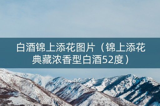 白酒锦上添花图片（锦上添花典藏浓香型白酒52度）
