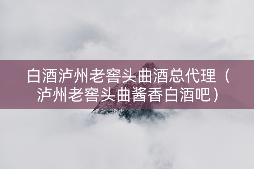 白酒泸州老窖头曲酒总代理（泸州老窖头曲酱香白酒吧）