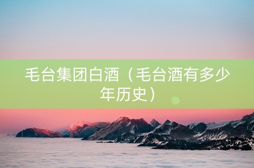 毛台集团白酒（毛台酒有多少年历史）