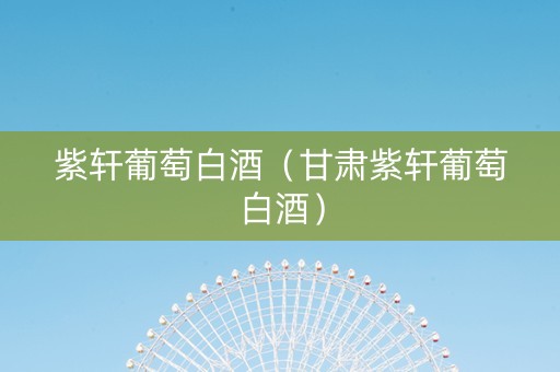 紫轩葡萄白酒（甘肃紫轩葡萄白酒）
