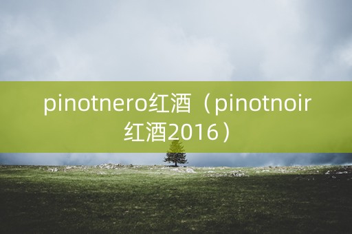 pinotnero红酒（pinotnoir红酒2016）