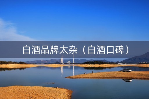 白酒品牌太杂（白酒口碑）