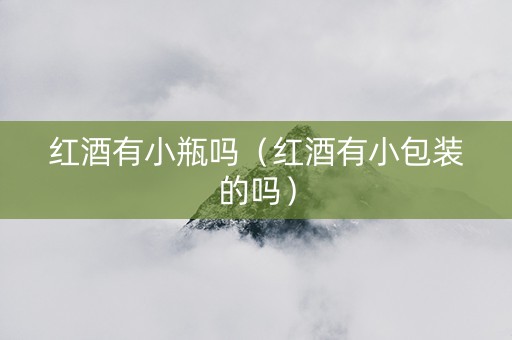 红酒有小瓶吗（红酒有小包装的吗）