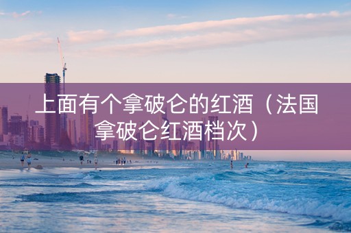 上面有个拿破仑的红酒（法国拿破仑红酒档次）
