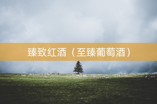 臻致红酒（至臻葡萄酒）