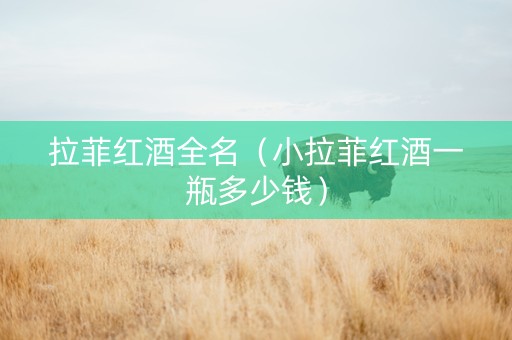 拉菲红酒全名（小拉菲红酒一瓶多少钱）