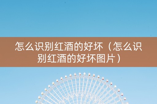怎么识别红酒的好坏（怎么识别红酒的好坏图片）
