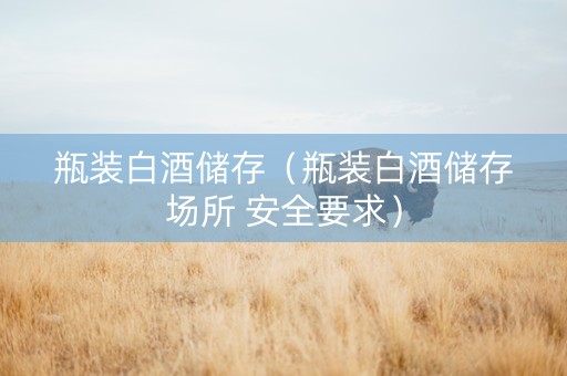 瓶装白酒储存（瓶装白酒储存场所 安全要求）