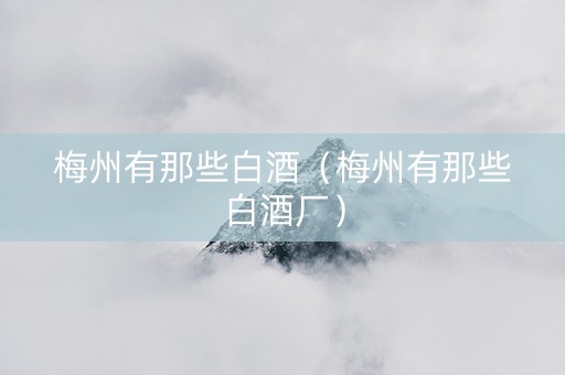 梅州有那些白酒（梅州有那些白酒厂）
