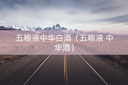 五粮液中华白酒（五粮液 中华酒）