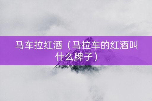 马车拉红酒（马拉车的红酒叫什么牌子）