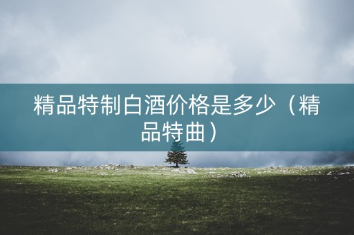精品特制白酒价格是多少（精品特曲）