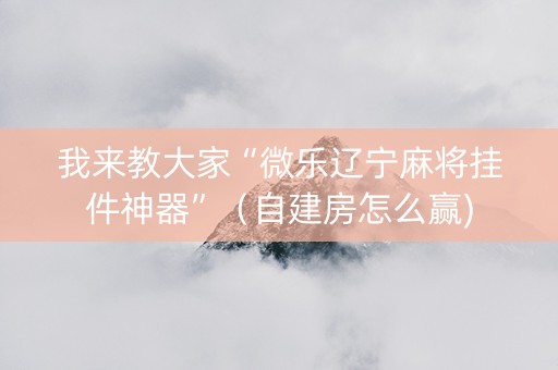 我来教大家“微乐辽宁麻将挂件神器”（自建房怎么赢)