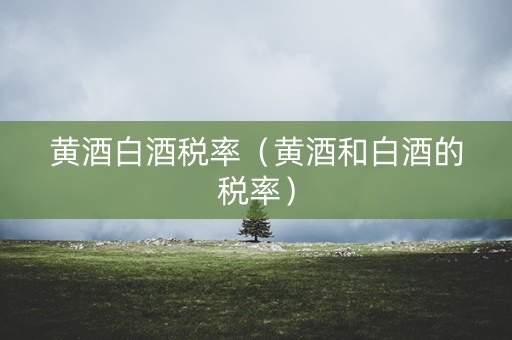 黄酒白酒税率（黄酒和白酒的税率）