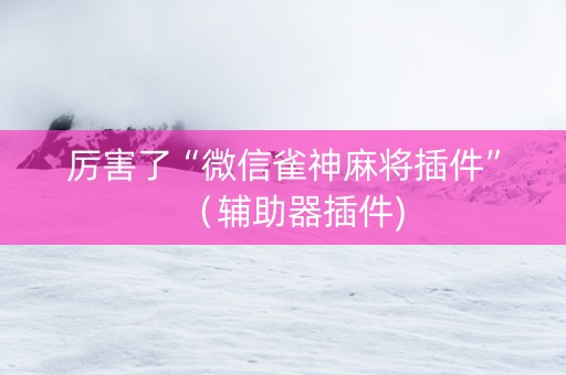 厉害了“微信雀神麻将插件”（辅助器插件)