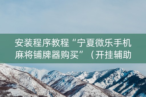 安装程序教程“宁夏微乐手机麻将铺牌器购买”（开挂辅助插件)