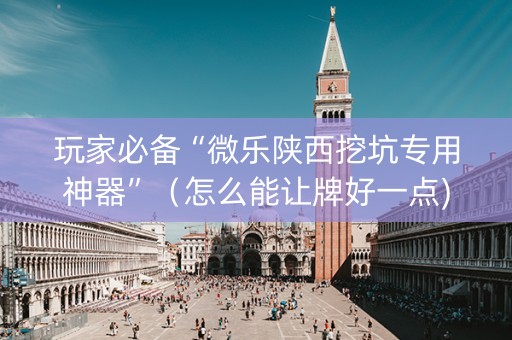 玩家必备“微乐陕西挖坑专用神器”（怎么能让牌好一点)