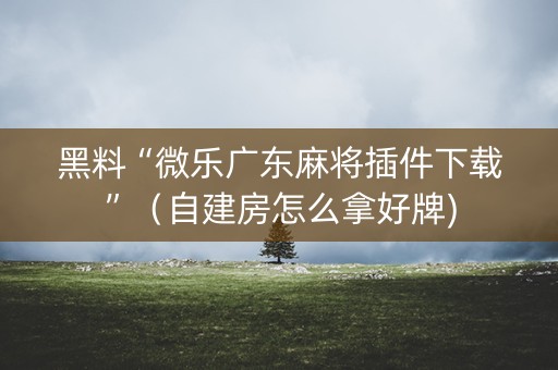 黑料“微乐广东麻将插件下载”（自建房怎么拿好牌)